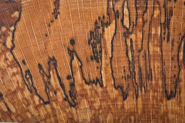 Fondo di legno, texture legno — Foto Stock