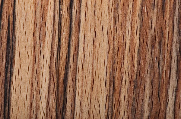 Background of wood, texture wood — Stock Photo, Image