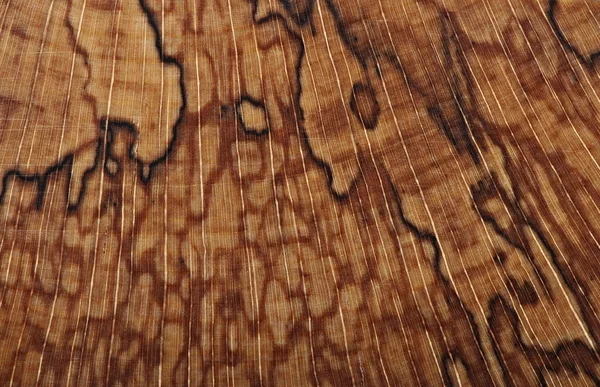 Fond de bois, texture bois — Photo