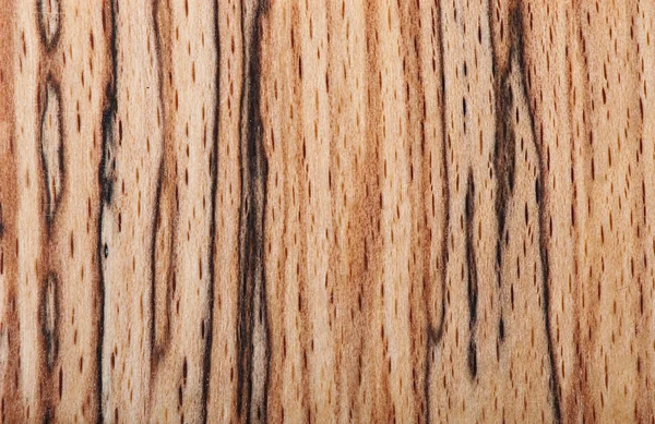 Background of wood, texture wood — Stock Photo, Image