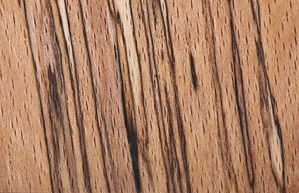 Background of wood, texture wood — Stock Photo, Image