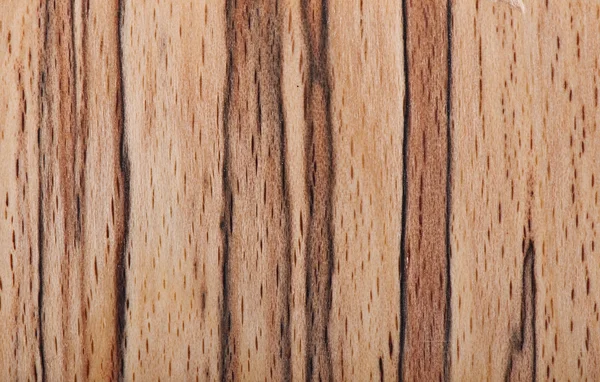 Background of wood, texture wood — Stock Photo, Image