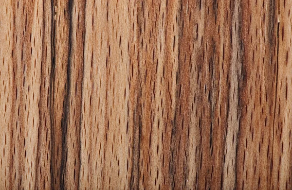 Background of wood, texture wood — Stock Photo, Image