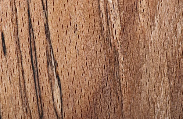 Background of wood, texture wood — Stock Photo, Image