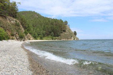 Rusya 'daki Baykal Gölü' nün taştan kumlu kıyıları yazın kozalaklı ormanlarla çevrilidir.