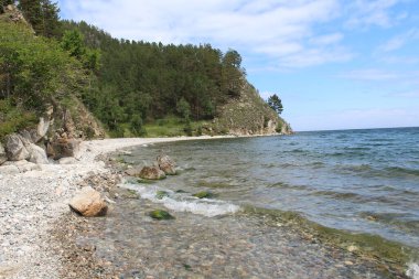 Rusya 'daki Baykal Gölü' nün taştan kumlu kıyıları yazın kozalaklı ormanlarla çevrilidir.