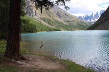 Swing on a tree on the background of the turquoise Middle Shavlin Lake in the Altai Mountains clipart