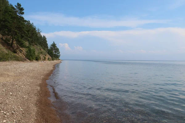 俄罗斯贝加尔湖的石质沙滩海岸 夏天被针叶林环绕 — 图库照片