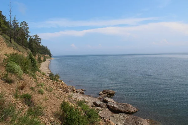 Rusya 'daki Baykal Gölü' nün taştan kumlu kıyıları yazın kozalaklı ormanlarla çevrilidir.