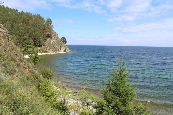 Rusya 'daki Baykal Gölü' nün taştan kumlu kıyıları yazın kozalaklı ormanlarla çevrilidir.