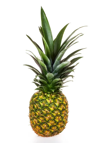 Ananas isolé sur blanc — Photo