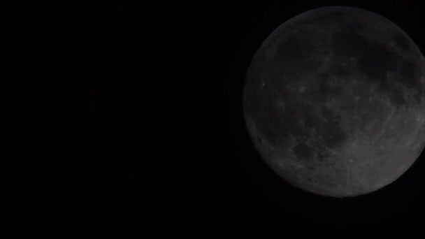 Stor fullmåne — Stockvideo