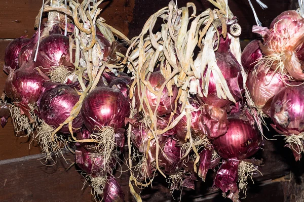 Strings of  Red Onions — Stock Photo, Image