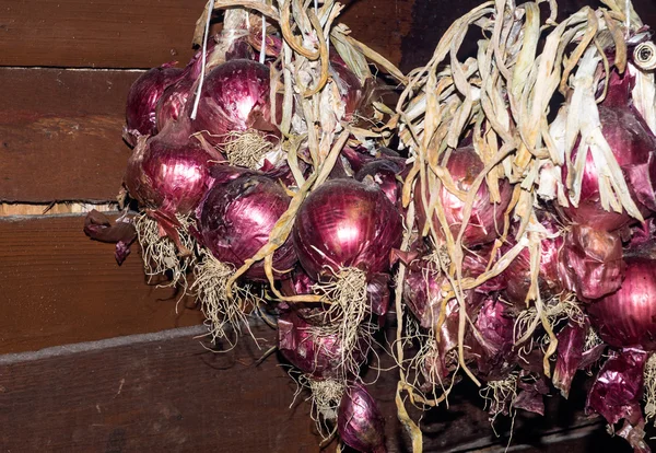 Strings of  Red Onions — Stock Photo, Image