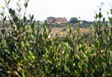 Tapınak E Selinunte Sicilya, Dor o Yunan tapınağı.