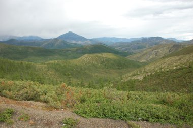 Tayga Yakutya yönü ile Dağları