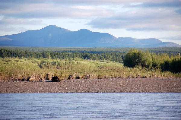 Berg en taiga aan Kolyma rivier Rusland outback — Stockfoto