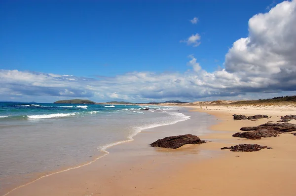 Yeni Zelanda beach taşlarla — Stok fotoğraf