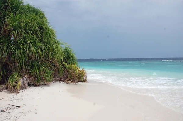 Пляж с белым песком на Мальдивах — стоковое фото