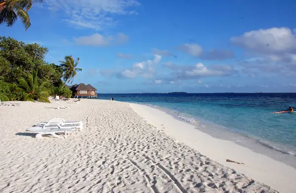 White sand beach with deckchairs Royalty Free Stock Photos