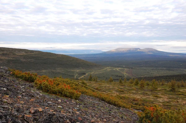 Montanha na área da tundra Fotos De Bancos De Imagens Sem Royalties