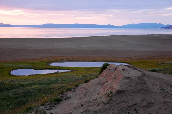 北極のツンドラ地帯の海岸湖 ロイヤリティフリーのストック写真