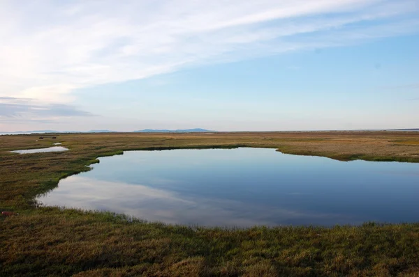 Tundra jezero na arktický ostrov Čukotský Stock Snímky