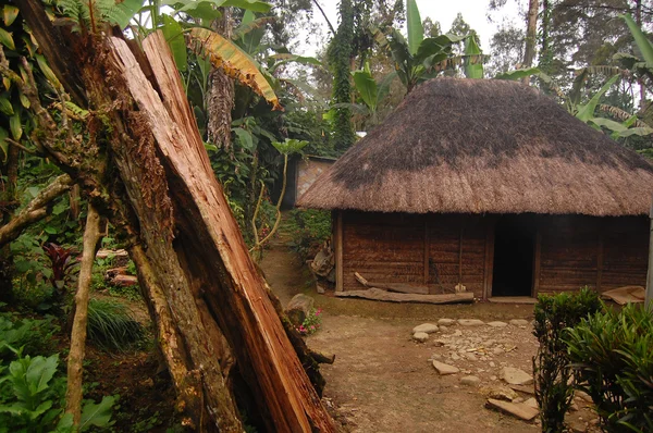 Holzstapel in der Nähe von Dorfhaus im ländlichen Raum — Stockfoto