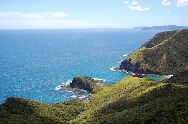 Cliff costa oceanica a Capo Reinga Nuova Zelanda — Foto Stock