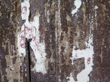 eski ahşap arka plan