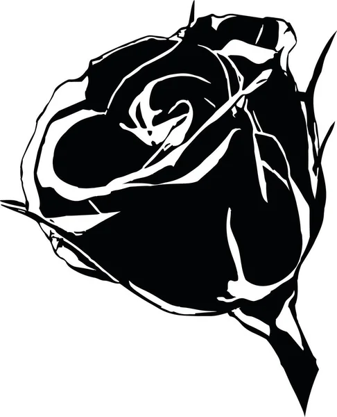 玫瑰插图的黑色轮廓 矢量说明 — 图库矢量图片