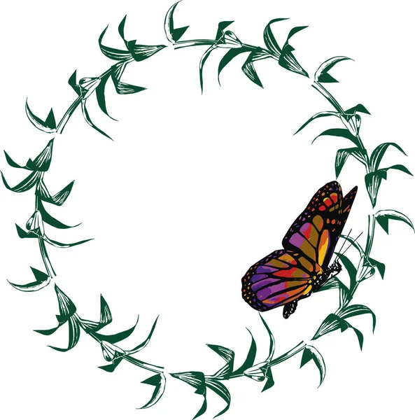 Beautiful Monarch Butterfly Isolated White Background Vector Illustration — Stock Vector