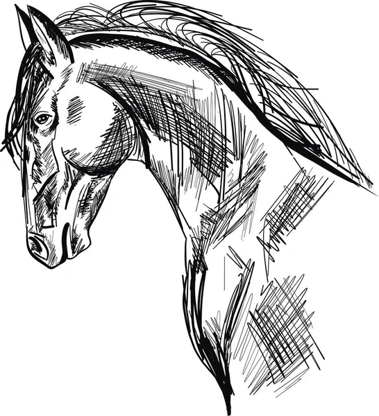 Croquis Dessiné Main Par Cheval Illustration Vectorielle — Image vectorielle