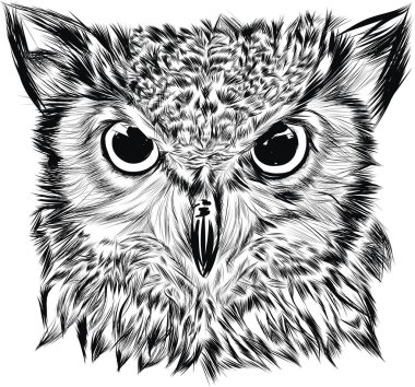 Kartal baykuşunun portresi. El Çizimi Çizimi Vektör illüstrasyonu