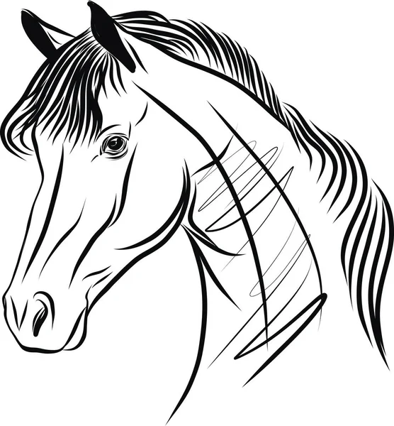 Desenho Desenhado Mão Cavalo Ilustração Vetorial — Vetor de Stock