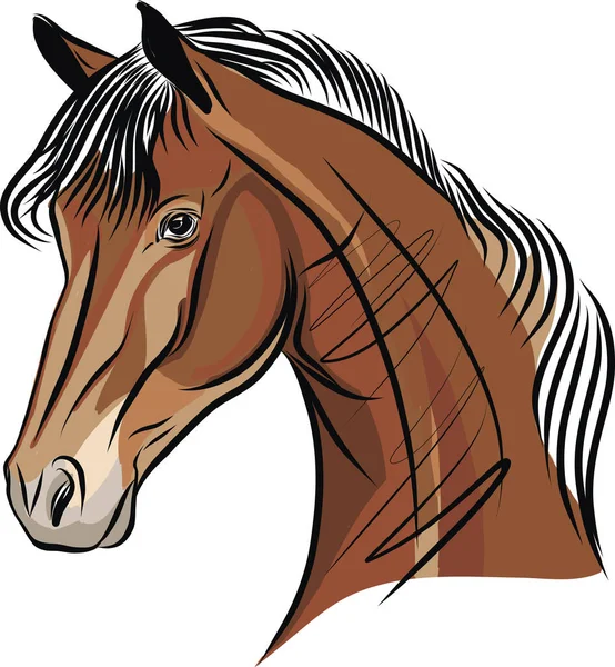Häst Hand Ritad Skiss Vektor Illustration — Stock vektor