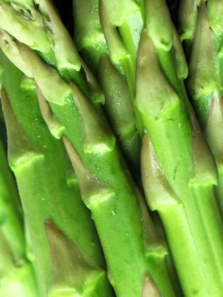 Spargel-Nahaufnahme — Stockfoto