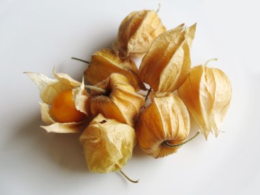 Aguaymanto, Peru meyve