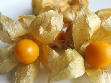 Aguaymanto, Peru meyve