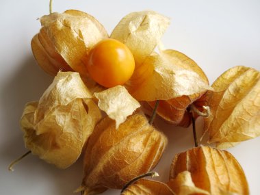 Aguaymanto, Peru meyve