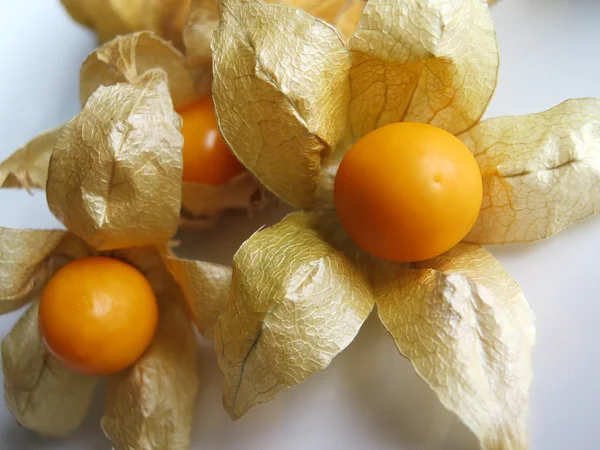 Aguaymanto, Peruvian fruit — Stock Photo, Image