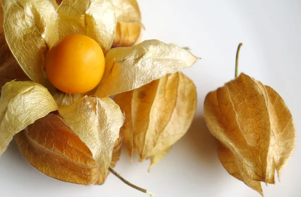 Aguaymanto, peruanische Frucht — Stockfoto