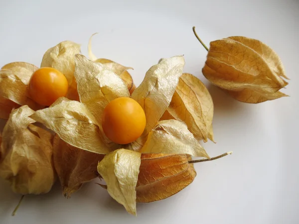 Aguaymanto, fruta peruana — Fotografia de Stock