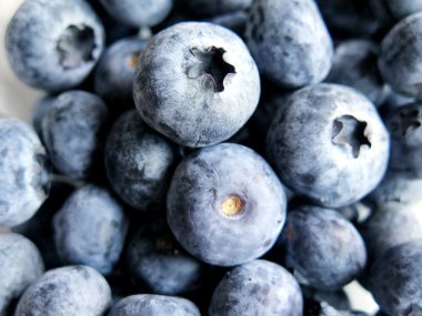 Olgun taze yaban mersini