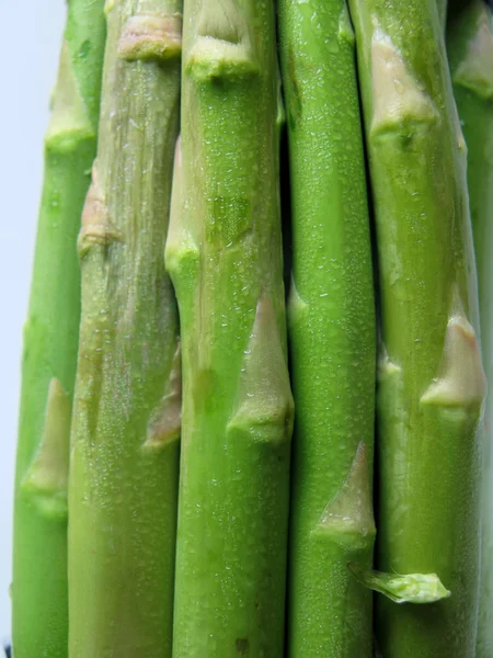 Asparagi Primo piano — Foto Stock