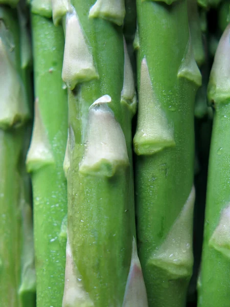 Spargel-Nahaufnahme — Stockfoto