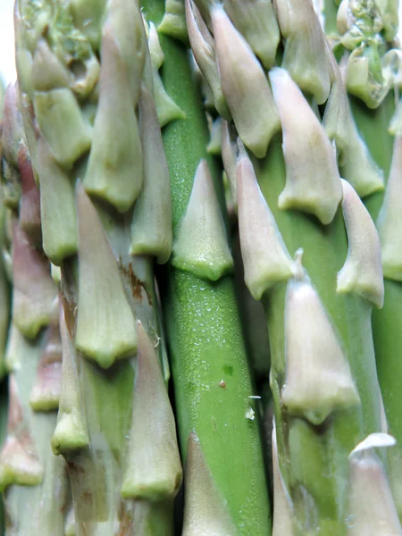 Aspargos close-up — Fotografia de Stock