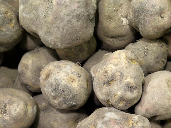 Peruvian Potatoes — Stock Photo, Image