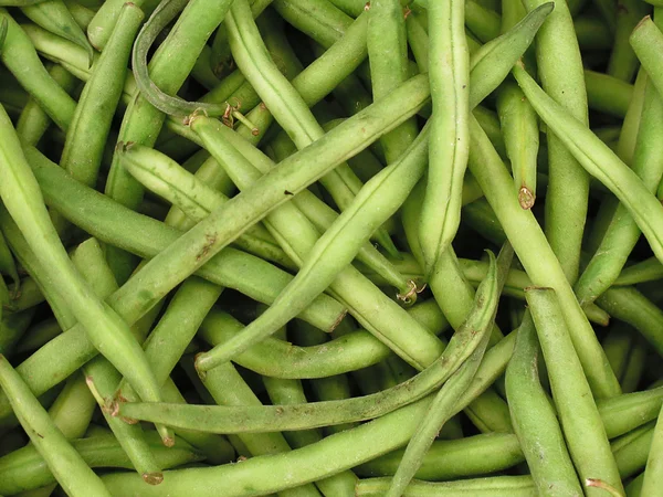 新鲜绿豆物种 — 图库照片