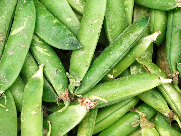新鲜绿豆物种 — 图库照片
